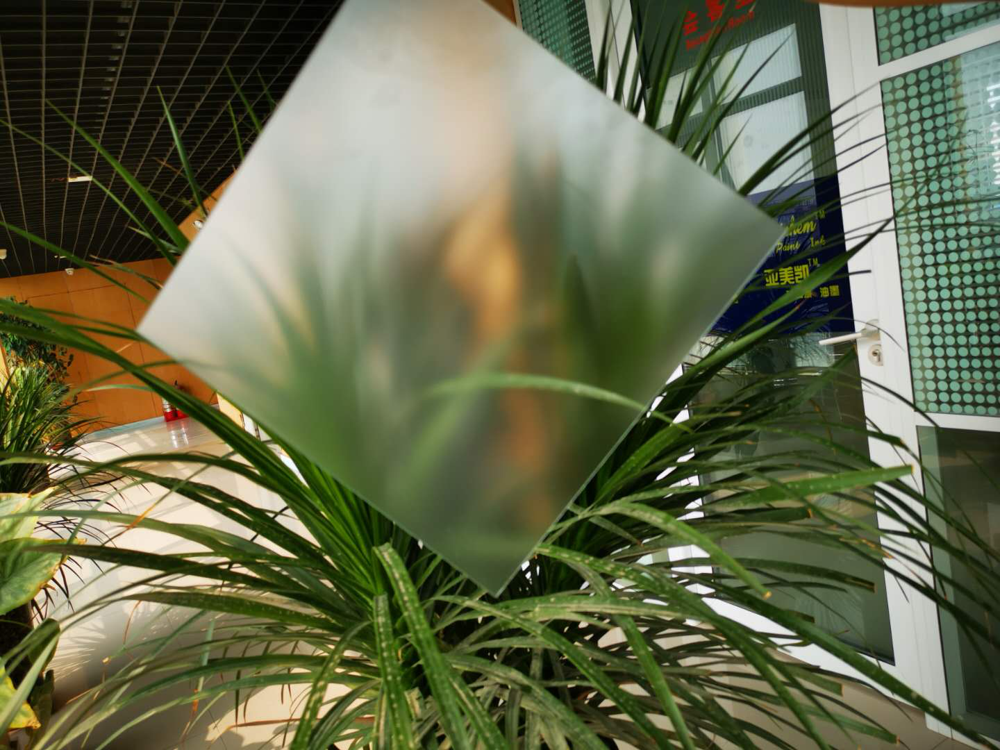 肌肤砂世界杯官方网站